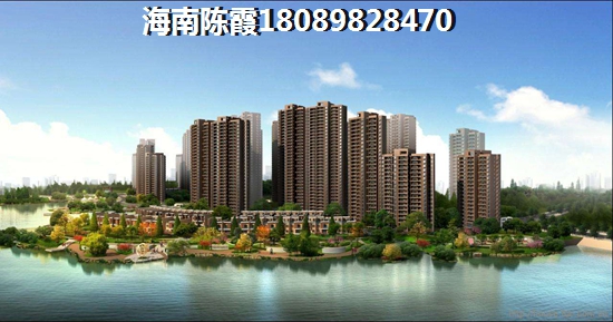 2024年碧桂园滨海国际房价是上涨还是下跌
